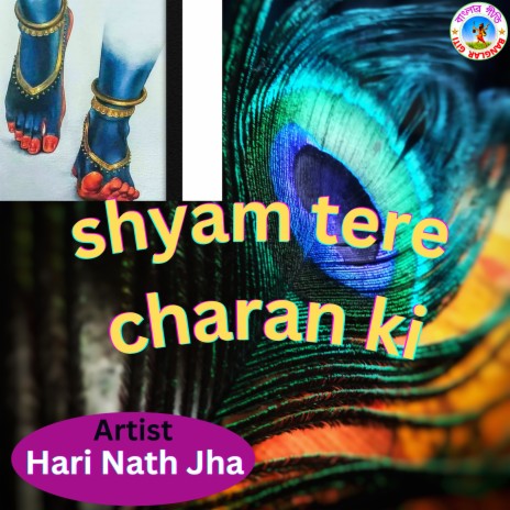 Shyam Tere Charan Ki (Hindi song) | Boomplay Music