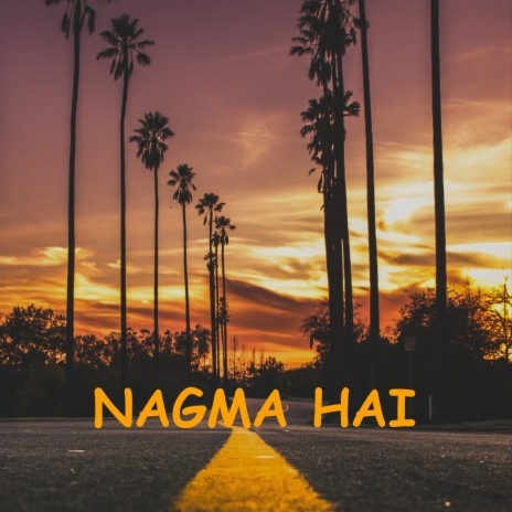 Pyaar Ka Nagma - LoFi | Boomplay Music