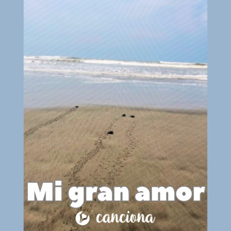 Mi gran amor | Boomplay Music