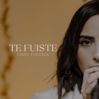 Te Fuiste (Remix)