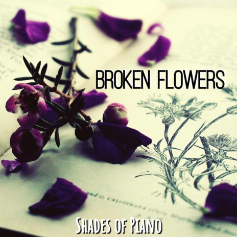 Broken Flowers | Boomplay Music