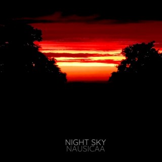 Night Sky