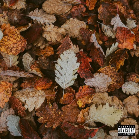 Leaves Change | Boomplay Music