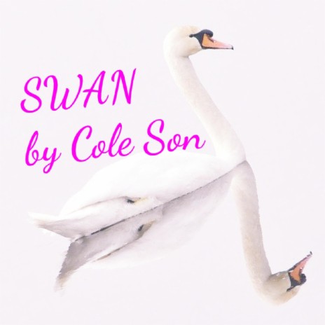 Swan | Boomplay Music