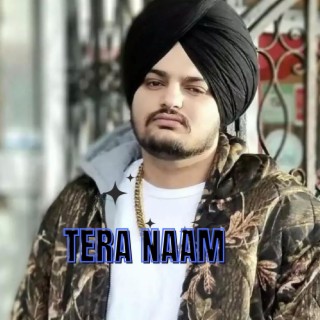 Tera Naam lyrics | Boomplay Music