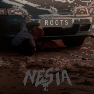 Roots