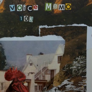 voice memo 103