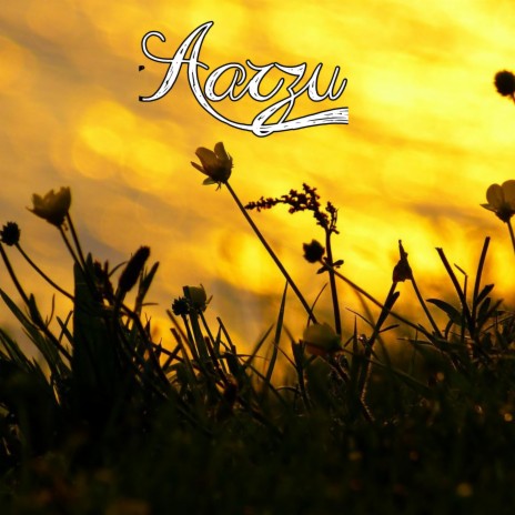 Aarzu | Boomplay Music