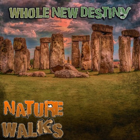 Whole New Destiny | Boomplay Music