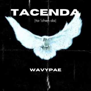 Tacenda lyrics | Boomplay Music