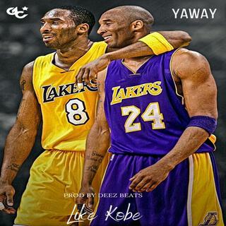 Like Kobe (24/8 Freestyle) lyrics | Boomplay Music