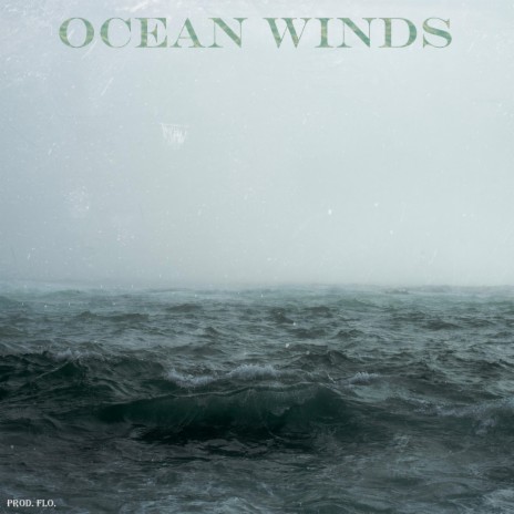 Ocean Winds | Boomplay Music