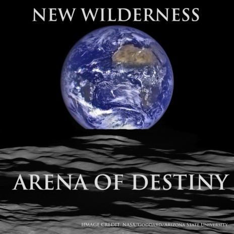 This Arena of Destiny | Boomplay Music