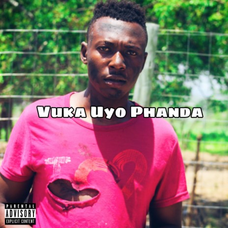Vuka uyo phanda | Boomplay Music