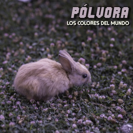 Los Colores Del Mundo