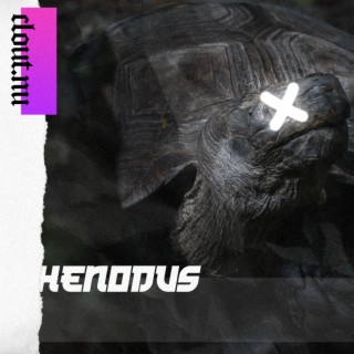 Henodus