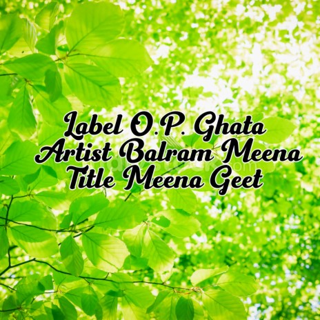 Meena Geet | Boomplay Music