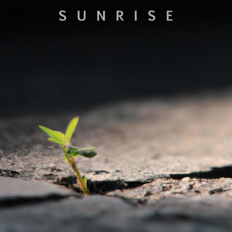 Sunrise (Original Motion Picture Soundtrack)