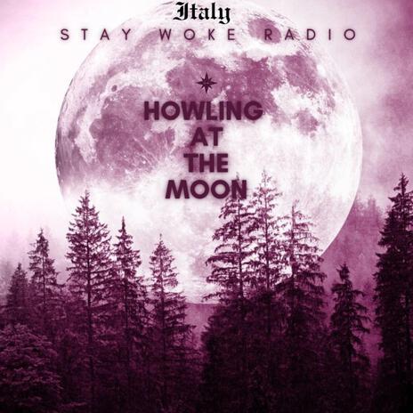 Howling at the moon | Boomplay Music