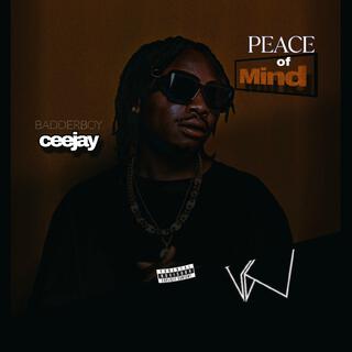 Peace of Mind lyrics | Boomplay Music