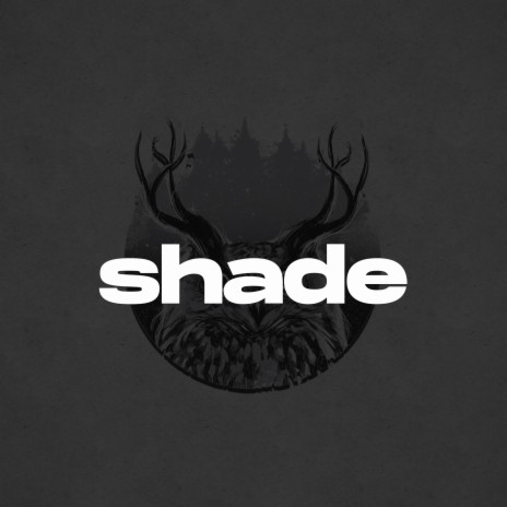 Shade (Melodic Drill Type Beat) | Boomplay Music