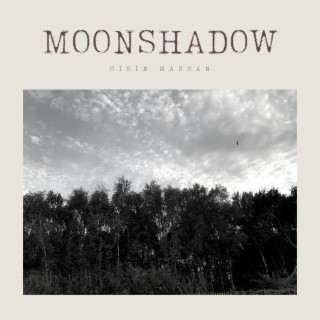 Moonshadow