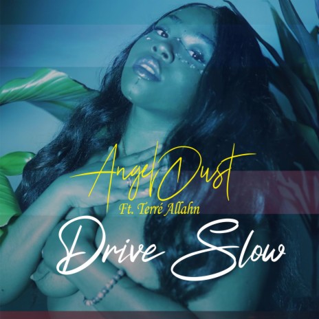 DriveSlow ft. Terre Allahn | Boomplay Music