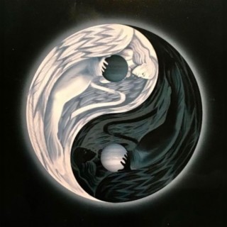 Yin or Yang