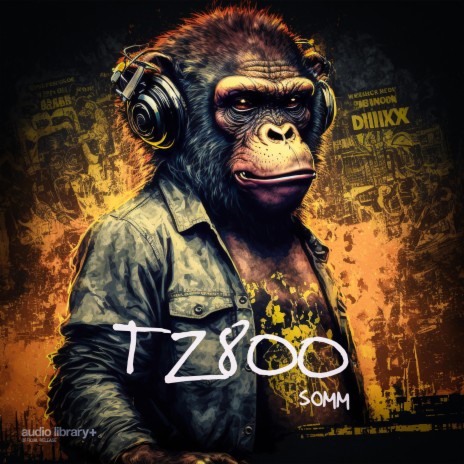 TZ800 | Boomplay Music