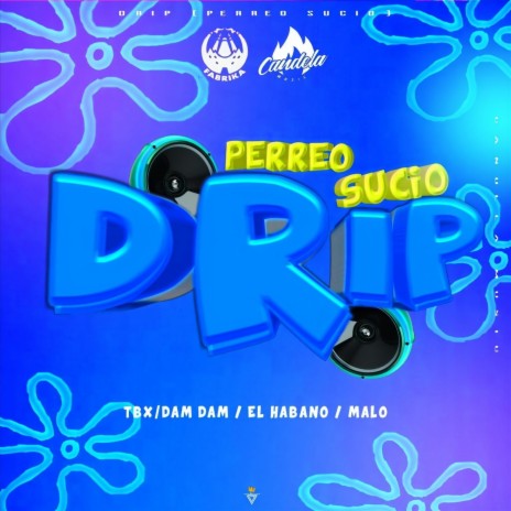 Drip (Perreo Sucio) [feat. El Habano] | Boomplay Music