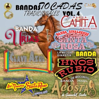 Bandas Tocadas Tradicionales Vol. 4