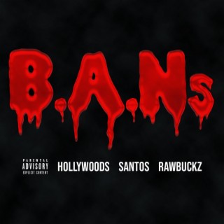 B. A. N. s (Bit$hA$$Ni$$as)