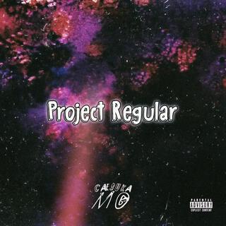 Project Regular