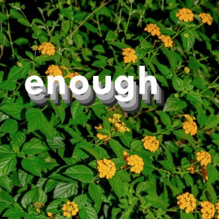enough - (Nura & Peregrino Remix) ft. Nura & Peregrino lyrics | Boomplay Music