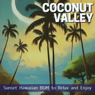 Sunset Hawaiian BGM to Relax and Enjoy