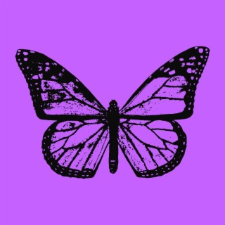 Butterflies ft. Tuna lyrics | Boomplay Music