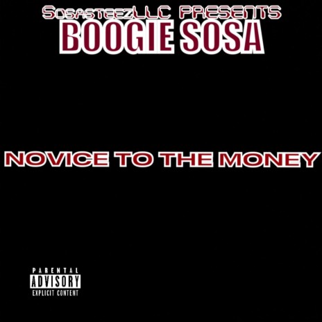 Novice To The Money | Boomplay Music