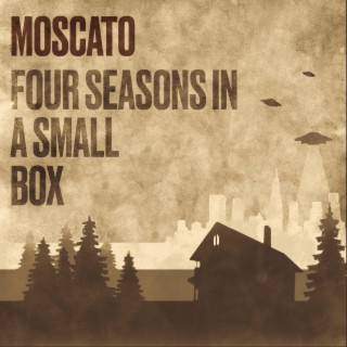 Four seasons in a small box