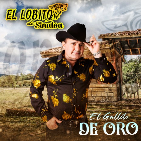 Gallito De Oro | Boomplay Music