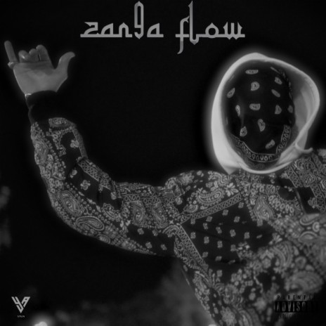 ZAN9A FLOW | Boomplay Music