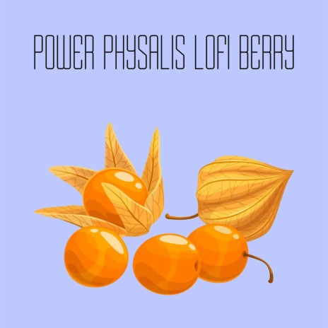 Power Physalis Lofi Berry | Boomplay Music