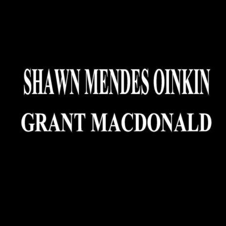 Shawn Mendes Oinkin | Boomplay Music