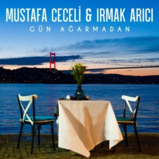 Turkish hits | Boomplay Music
