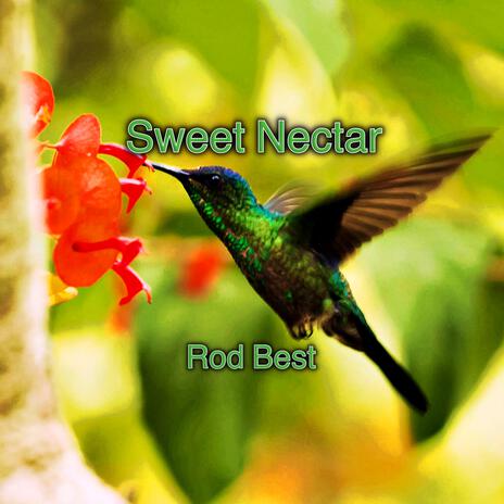 Sweet Nectar | Boomplay Music