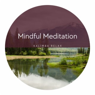 Mindful Meditation: Focused Calm, Tranquil Thoughts