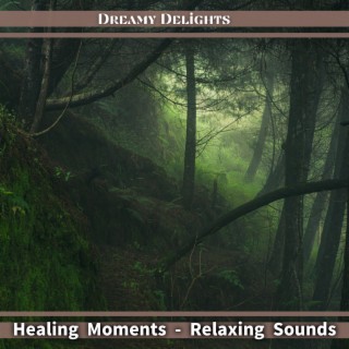 Healing Moments - Relaxing Sounds