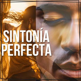 Sintonía Perfecta