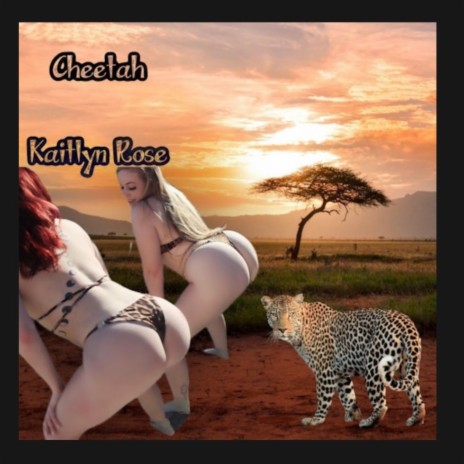 Cheetah | Boomplay Music