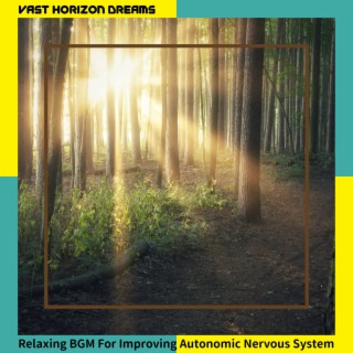 Relaxing BGM For Improving Autonomic Nervous System