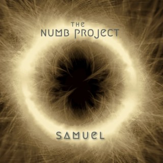 The Numb Project